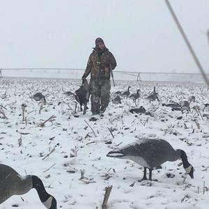 Meet your Posher, Chase